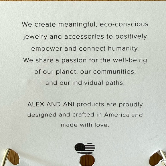 T Alex and Ani Silver Initial Charm Bracelet - Picture 5 of 8